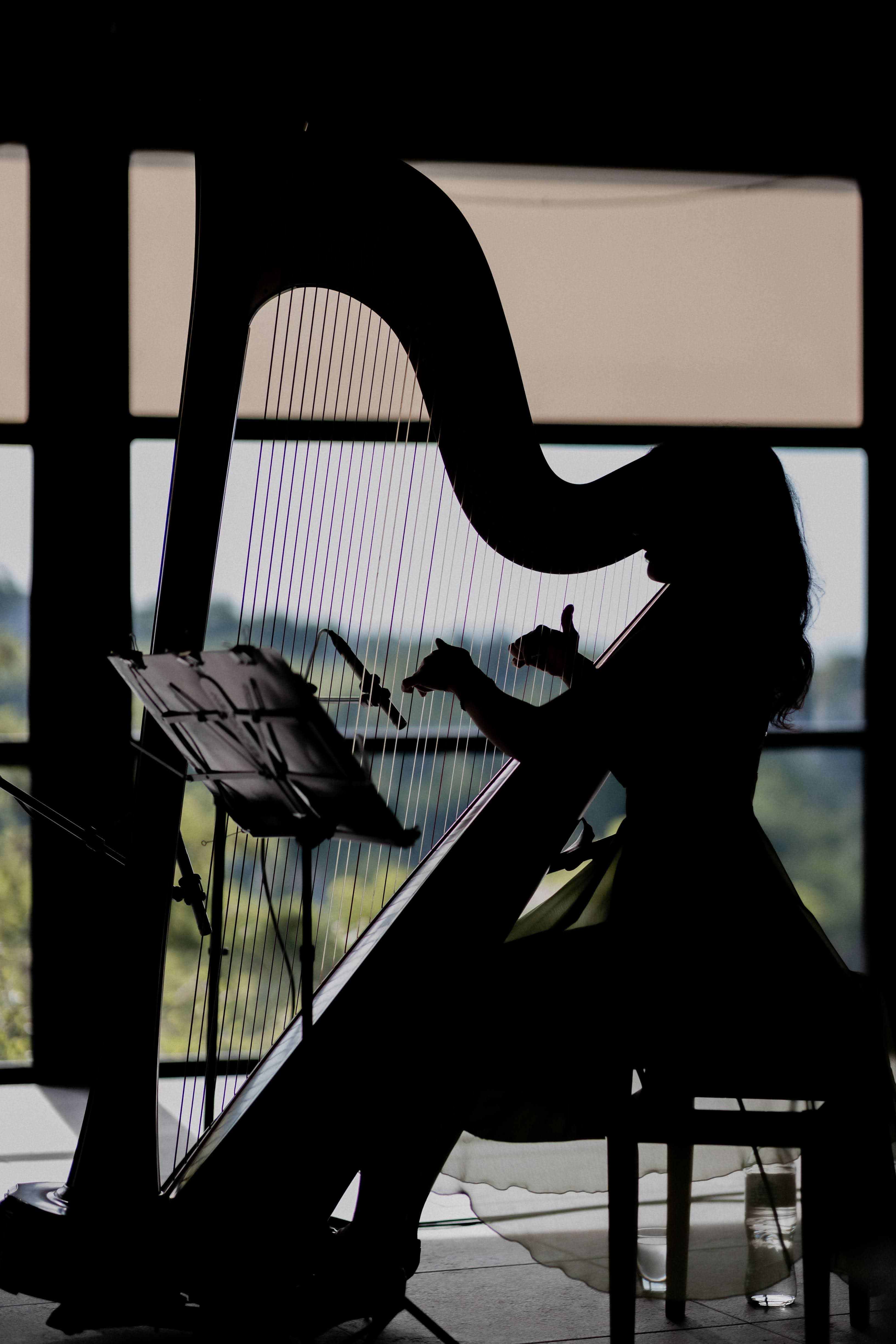 Irina performing at a private event - photo 5