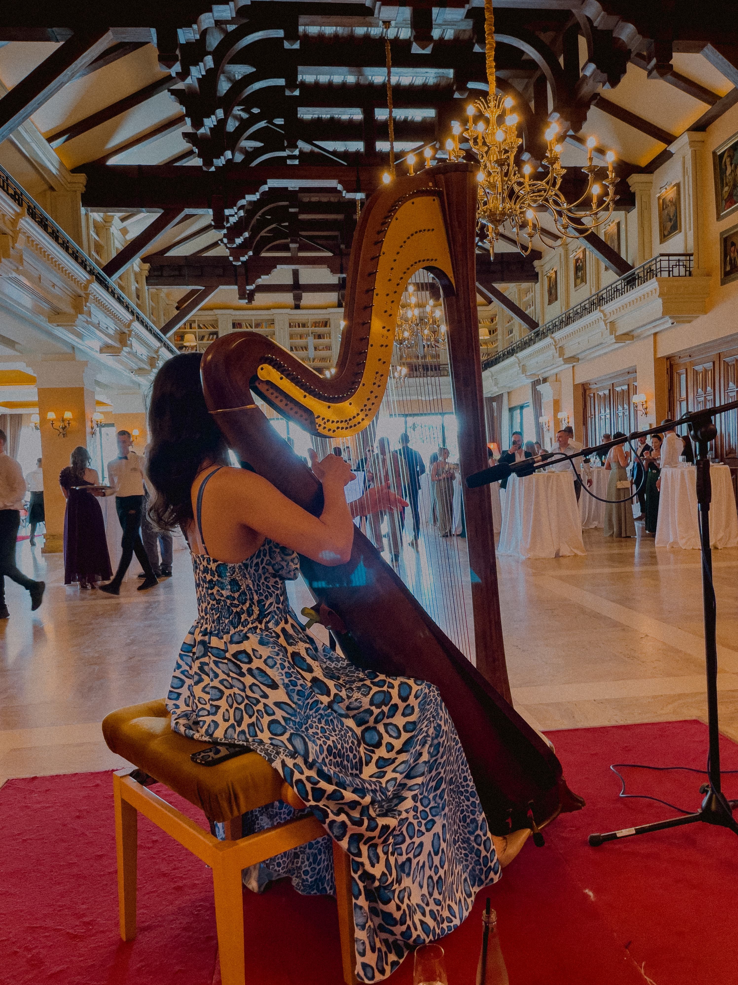 Irina performing at a private event - photo 6